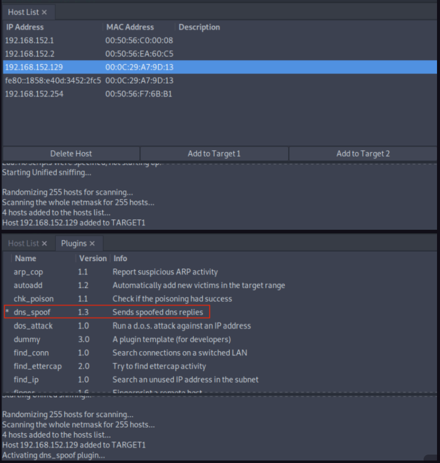 DNS diagram